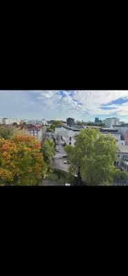 5-Zimmer-Wohnung mieten in Linz – 93 m², € 1.426 – Bild 5 von 6