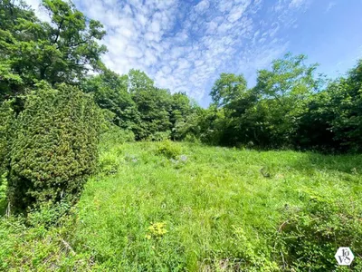 Grundstück kaufen in Mödling – 16 186 m², € 5.650.000 – Bild 2 von 8