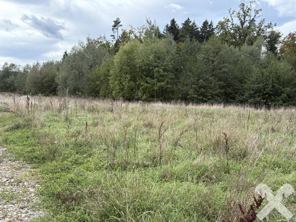 Baugründe in idyllischer Lage Gleisdorf Rand - Ansicht 3