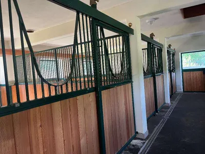 12-Zimmer-Immobilie kaufen in Bruck-Mürzzuschlag – 470 m², € 1.850.000 – Bild 22 von 29