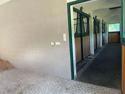 12-Zimmer-Immobilie kaufen in Bruck-Mürzzuschlag – 470 m², € 1.850.000 – Bild 21 von 29