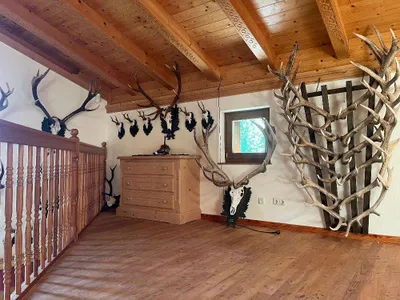 12-Zimmer-Immobilie kaufen in Bruck-Mürzzuschlag – 470 m², € 1.850.000 – Bild 9 von 29