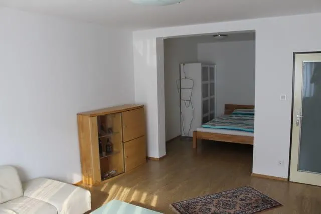 1,5 Zimmer Wohnung 50 m² - Widok 3