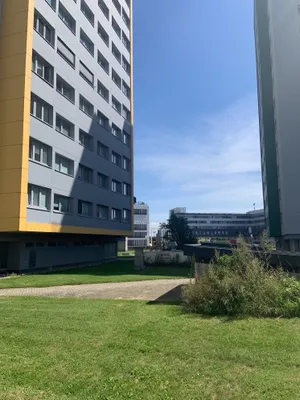 1-Zimmer-Wohnung mieten in Sankt Pölten – 36 m², € 590 – Bild 1 von 13
