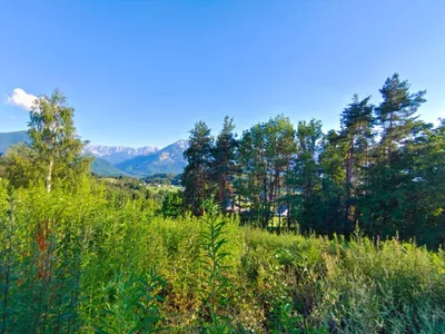 Grundstück kaufen in Klagenfurt Land – 802 m², € 127.000 – Bild 6 von 7