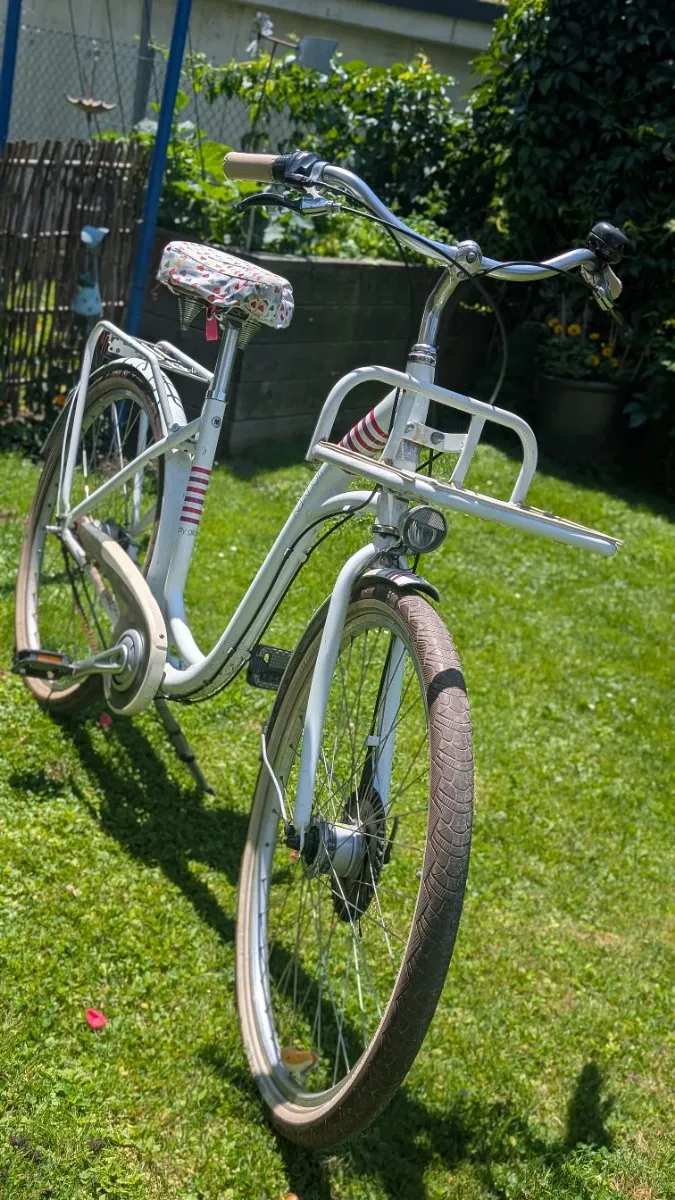 prophete e bike mountainbike Graveler Canyon wants you to duschfeste Style:With basket front and rear