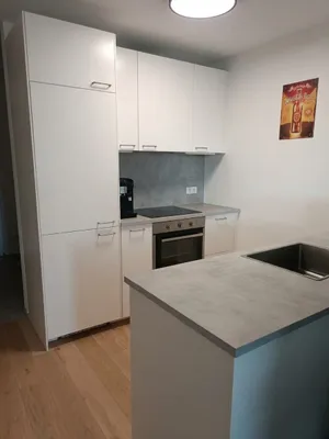 2-Zimmer-Wohnung mieten in Bregenz – 43,7 m², € 1.050 – Bild 5 von 8