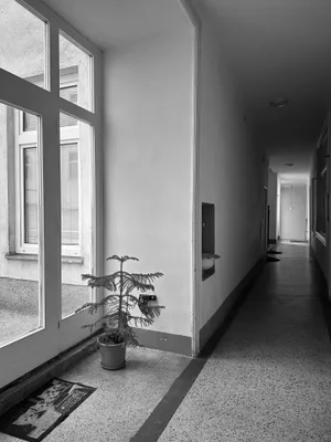 2-Zimmer-Wohnung mieten in Wien – 49 m², € 562 – Bild 17 von 18