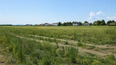 Grundstück kaufen in Wiener Neustadt Land – 551 m², € 209.000 – Bild 2 von 4