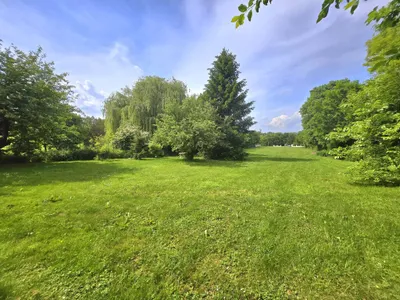 6-Zimmer-Gewerbeimmobilie kaufen in Hollabrunn – 169,22 m², € 499.000 – Bild 8 von 25