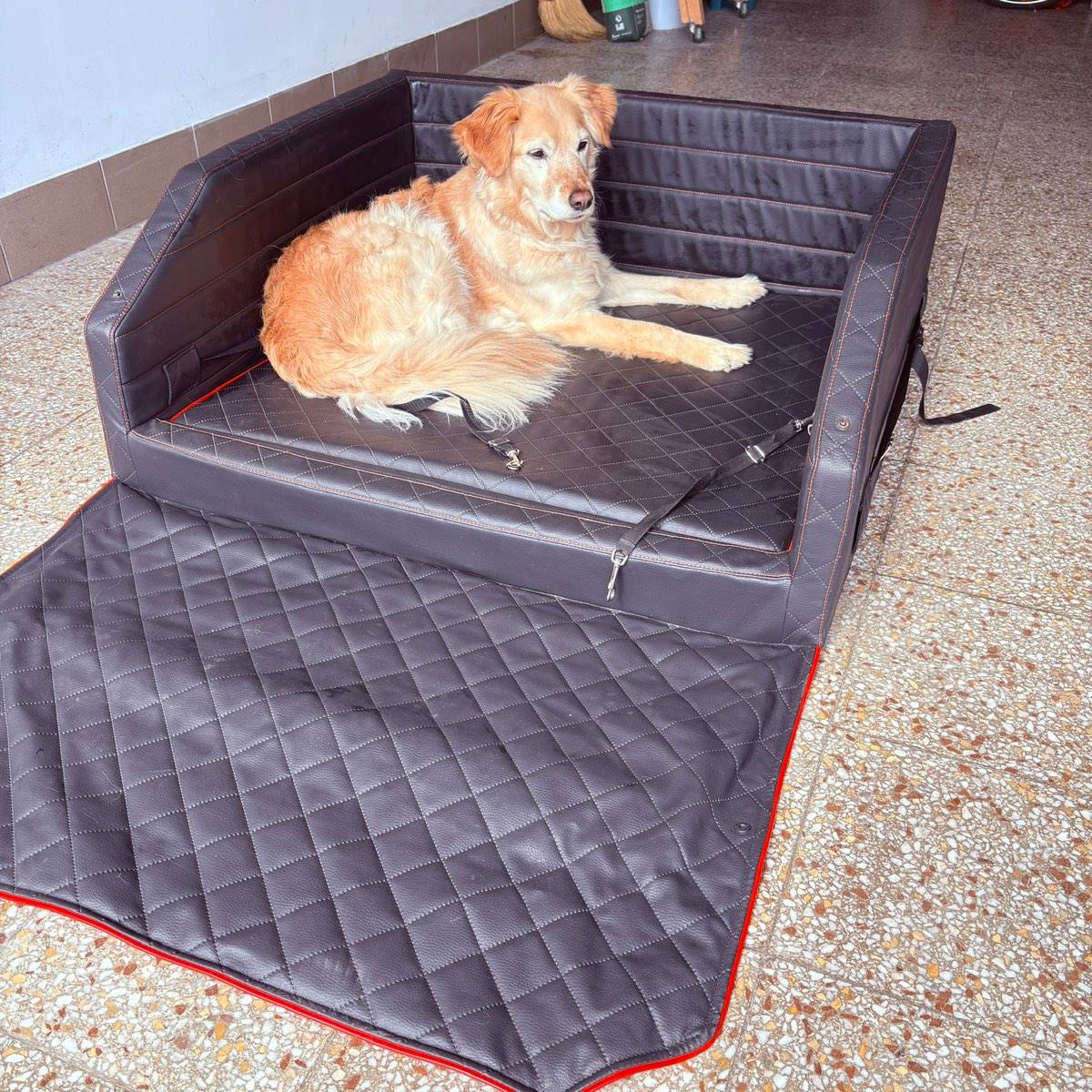 Bettex Hundebett frs Auto,  100,- (3340 Waidhofen an der Ybbs) - willhaben