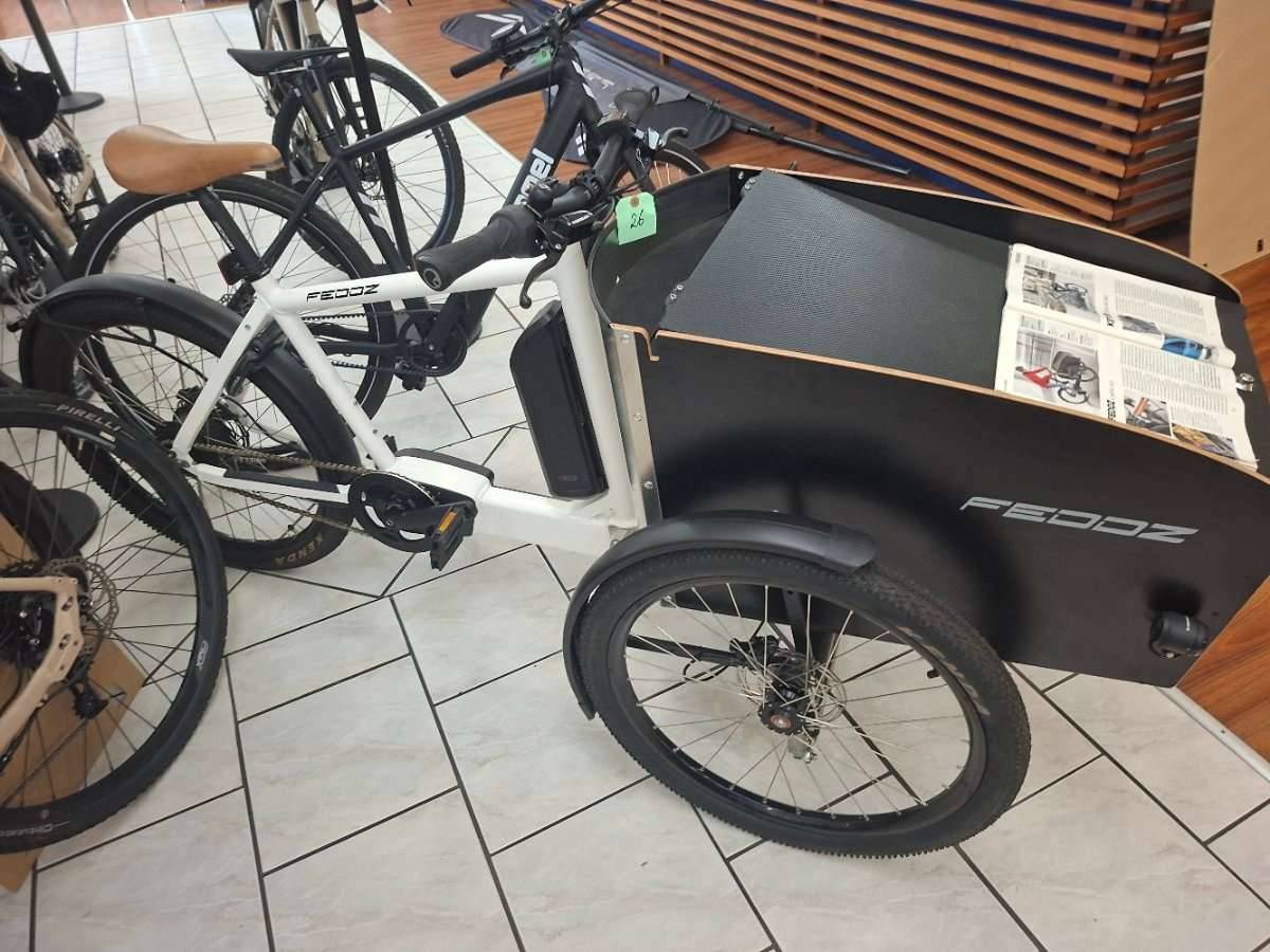 Lastenrad Elektrorad Ebike,  3.200,- (5600 Einden) - willhaben