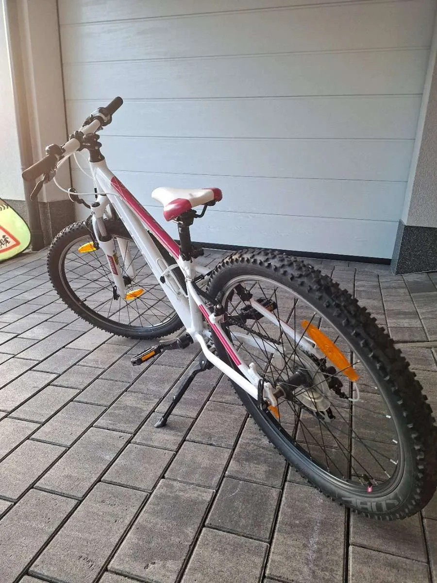 sportliche damen e-bikes X-City Coffee E-Bike 2026 | Damen
