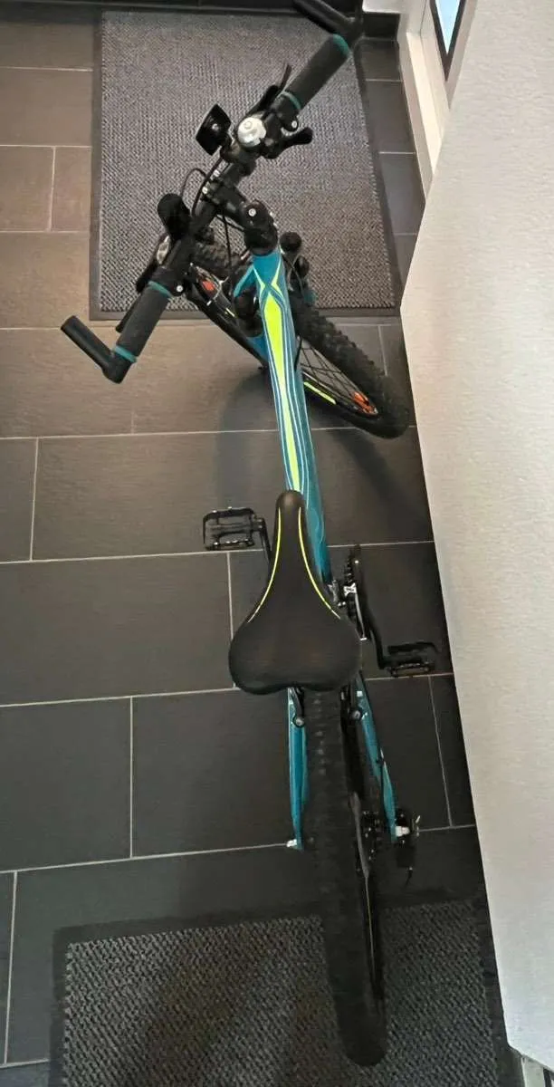 e bike damen gelb Gazelle Medeo T10 HMB – 500 Wh, Trapez Cube Nature Pro 2024 fahrradgarage für drei fährräder Größe/Material der Lunchbox:XXL E-St 1xTrenner