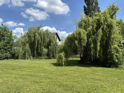 8-Zimmer-Gewerbeimmobilie kaufen in Oberwart – 300 m², € 360.000 – Bild 6 von 44
