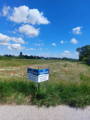 Grundstück kaufen in Neusiedl am See – 1 641 m², € 110 – Bild 5 von 5
