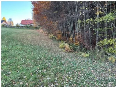 Grundstück kaufen in Deutschlandsberg – 5 507 m², € 99.000 – Bild 2 von 11