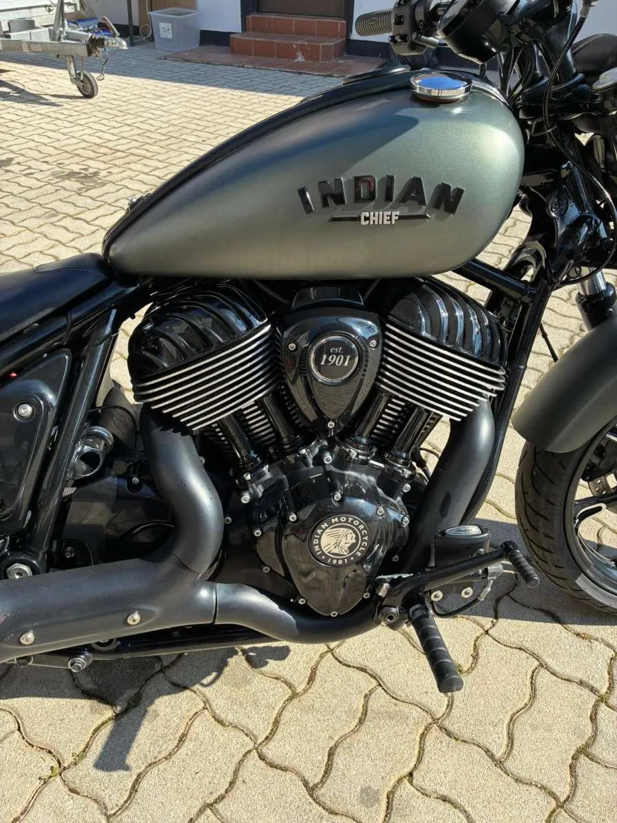 Indian Chief