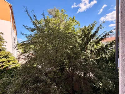 2-Zimmer-Wohnung mieten in Wiener Neustadt – 74 m², € 780 – Bild 18 von 28