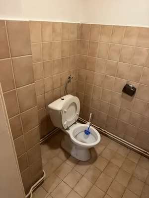 3-Zimmer-Immobilie mieten in Baden – 60 m², € 508 – Bild 10 von 13