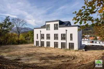 10-Zimmer-Wohnung kaufen in Wiener Neustadt Land – 323,02 m², € 489.000 – Bild 4 von 18