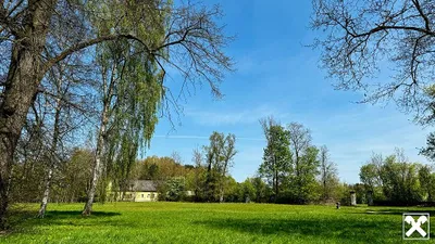 Immobilie kaufen in Zwettl – 5 100 m² – Bild 15 von 19