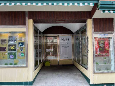 18-Zimmer-Immobilie kaufen in Bruck-Mürzzuschlag – 420 m², € 420.000 – Bild 4 von 38