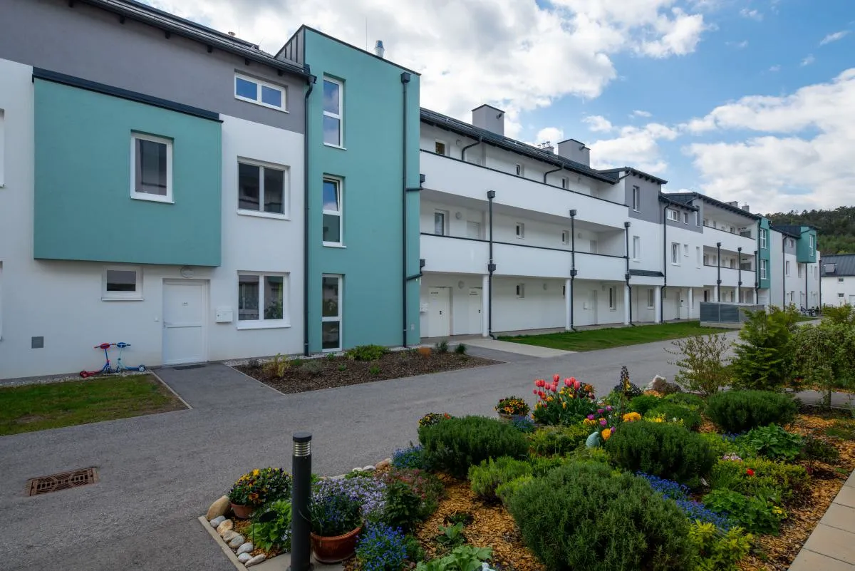 Wohnung – Schwarzau am Steinfeld - Ansicht 3