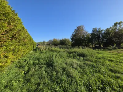 Grundstück zum Kauf in 2471 Bruck an der Leitha