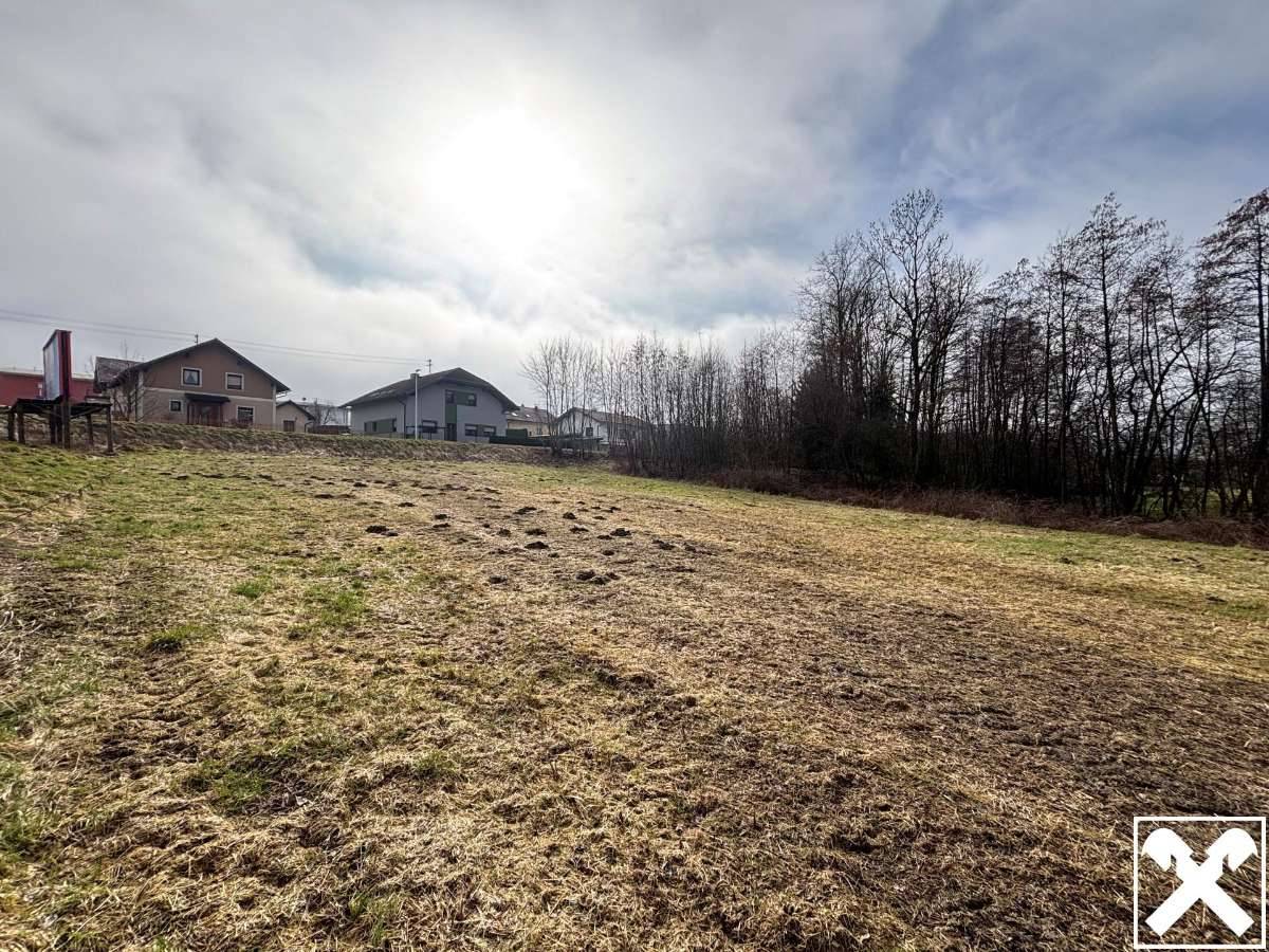 XXL Grundstück in Andorf - Ansicht 2