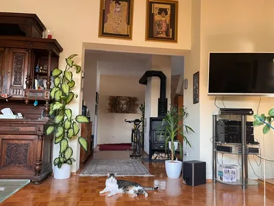4-Zimmer-Wohnung kaufen in Steyr – 131 m², € 159.000 – Bild 13 von 24