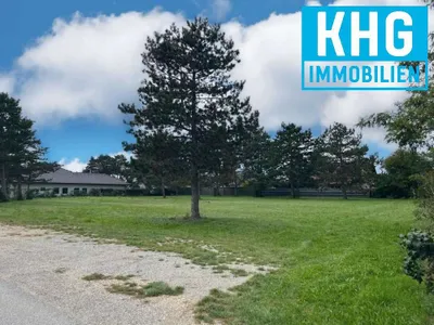 Grundstück kaufen in Gänserndorf – 3 663 m², € 1.148.000 – Bild 5 von 9