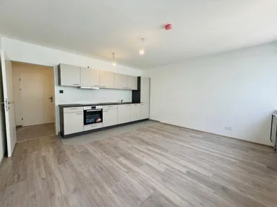 Erstklassige 2-Zimmer Wohnung mit Kühlung direkt neben U4/U6 Längenfeldgasse – Bild 2