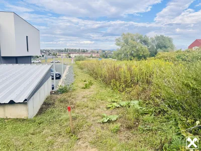 Immobilie kaufen in Oberwart – 4 390 m², € 350.000 – Bild 6 von 6