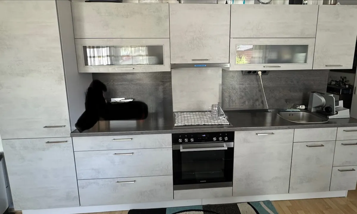 Wohnung – Leopoldsdorf im Marchfelde - Ansicht 3