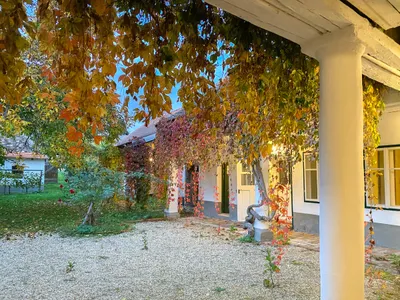 6-Zimmer-Haus kaufen in Hollabrunn – 180 m², € 449.000 – Bild 11 von 25