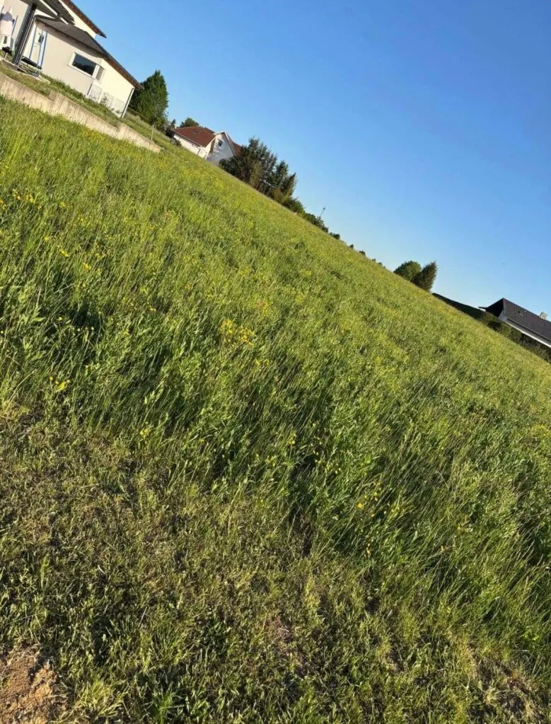 Traumgrundstück 953m² in Jormannsdorf - Perfekt für Ihr Eigenheim, EUR110.000,- - Ansicht 2