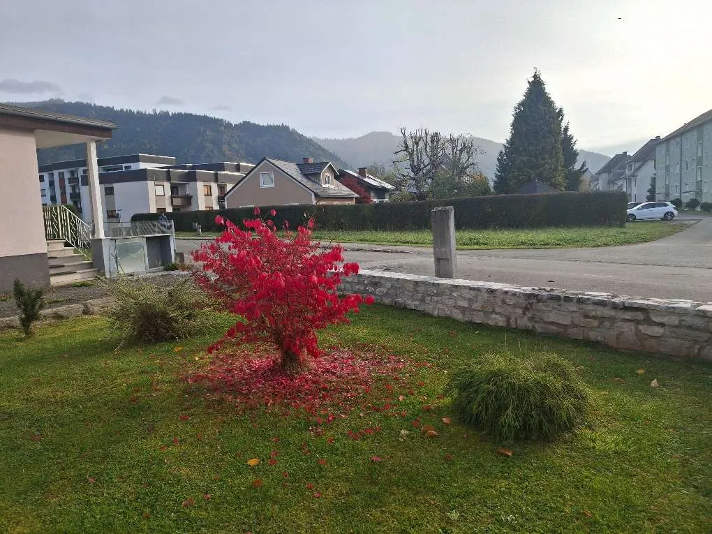Haus – Pöls - Ansicht 3