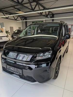 Fiat Qubo L 100