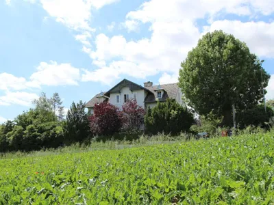 10-Zimmer-Immobilie kaufen in Korneuburg – 347 m², € 750.000 – Bild 12 von 36