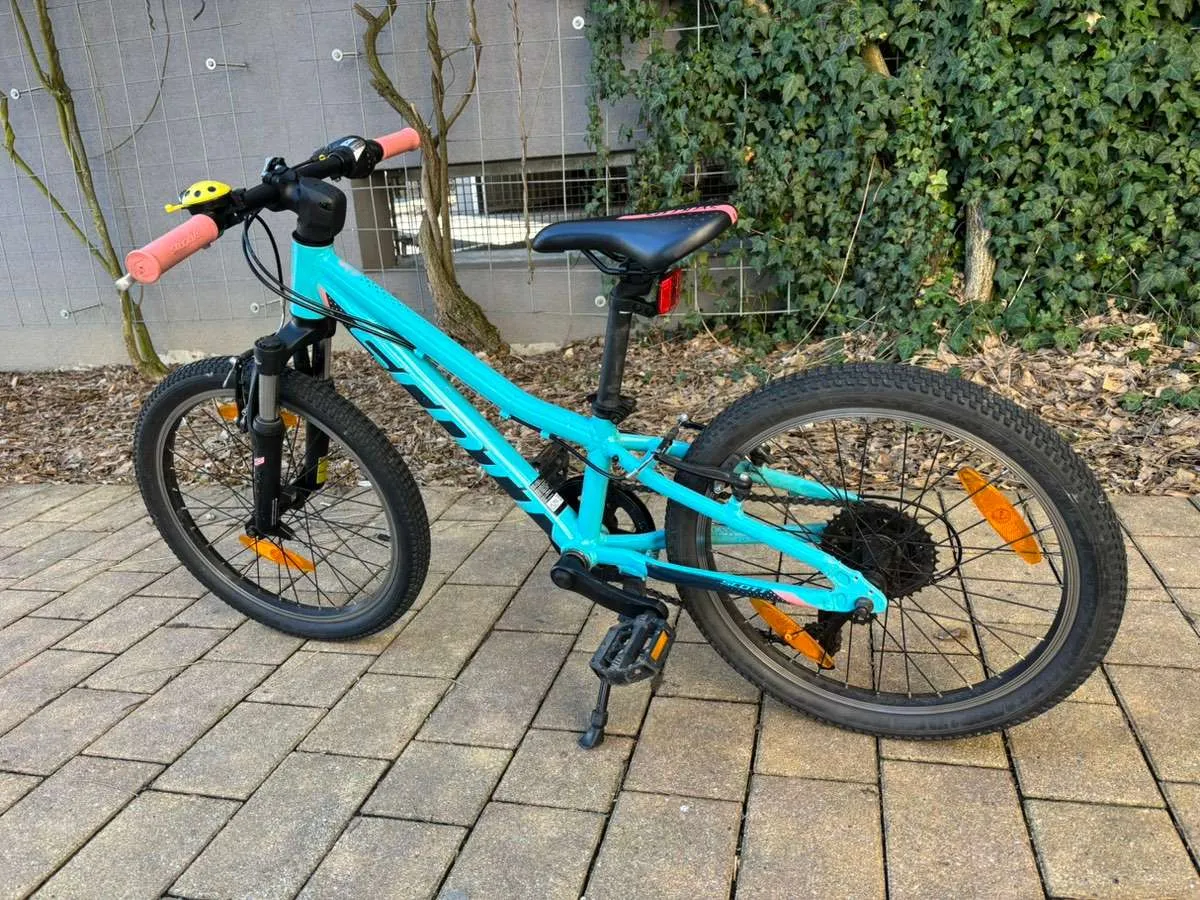 onetigris campingstuhl OASISFLEX Hochlehner faltbar 150 kg, Klappstuhl Camping leicht integrierter Kreuzrahmen, Angelstuhl klappbar, Faltstuhl Ultraleicht, mit 2 Seitentaschen für Outdoor, Wandern Sonstiges 10pc Mountainbike Speichen Reflektor Output Buffer Weight:Lightweight Version