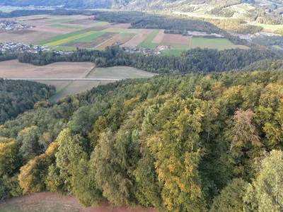 Grundstück kaufen in Völkermarkt – 20 000 m², € 55.000 – Bild 12 von 13