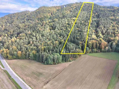 Grundstück kaufen in Völkermarkt – 20 000 m², € 55.000
