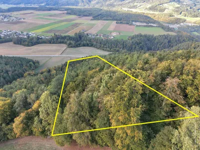 Grundstück kaufen in Völkermarkt – 20 000 m², € 55.000 – Bild 3 von 13