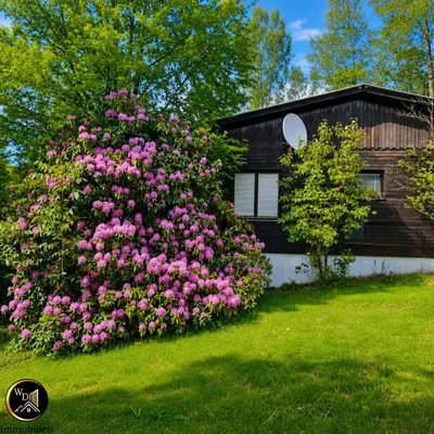 2-Zimmer-Haus kaufen in Bruck-Mürzzuschlag – 48,48 m², € 128.000 – Bild 2 von 19