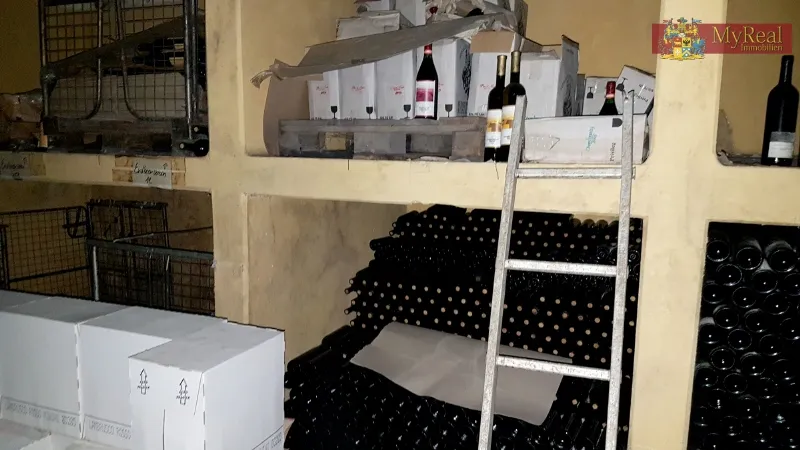 Herrschaftliches Weingut im Burgenland - Ansicht 3