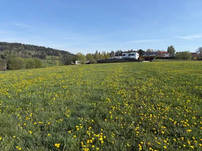 Grundstück kaufen in Feldkirchen – 950 m², € 239.000 – Bild 4 von 5