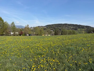 Grundstück kaufen in Feldkirchen – 950 m², € 239.000 – Bild 5 von 5