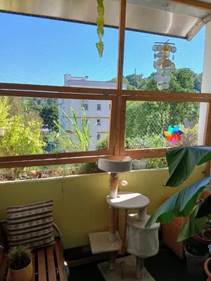 3-Zimmer-Wohnung kaufen in Graz – 75 m², € 270.000 – Bild 5 von 14