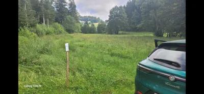 Grundstück mieten in Rohrbach – 3 000 m² – Bild 8 von 9